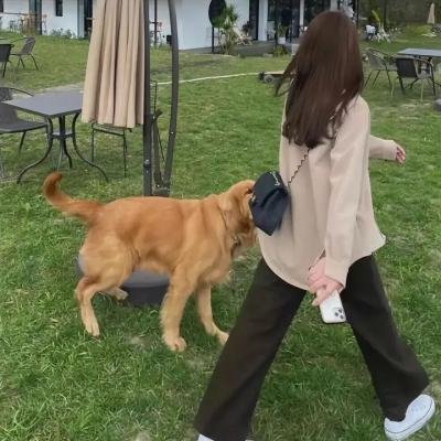 女子须知